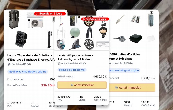 Annonces de lots d'invendus mis en vente par des déstockeurs professionnels, avec prix au lot, nombre d'unités et coût unitaire affichés